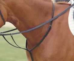 Kincade Running Martingale